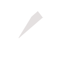 汉中临时保镖服务